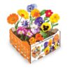 Caja de flores comestibles
