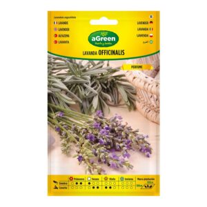 Sobre con semillas de lavanda officinalis