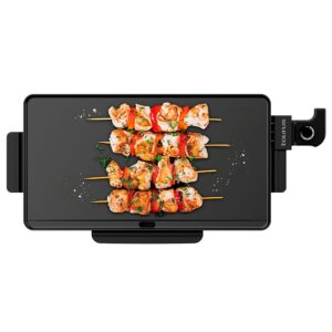 Plancha de asar steakmax 2200 w