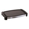 Plancha de asar 2200 w 450 x 300 mm