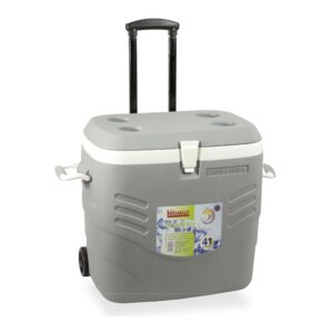 Nevera de camping 41 l color gris con ruedas