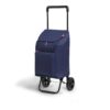 Carro de la compra argo blue 45 l