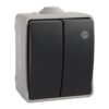 Doble conmutador estanco 10 ax 250v~. ip54