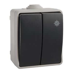 Doble conmutador estanco 10 ax 250v~. ip54